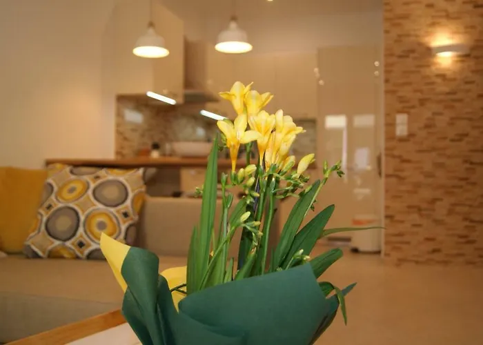 Brand New Luxury Apartment